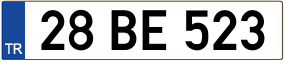 Truck License Plate